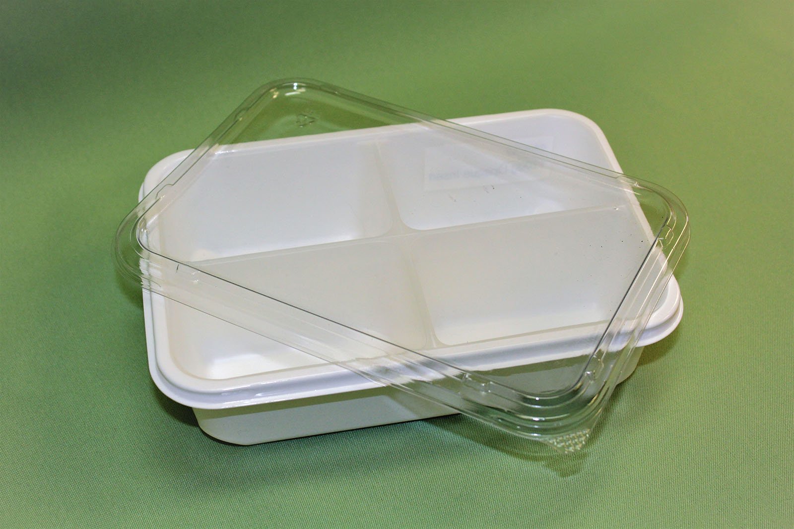 Tray with lid and insert 1100-g