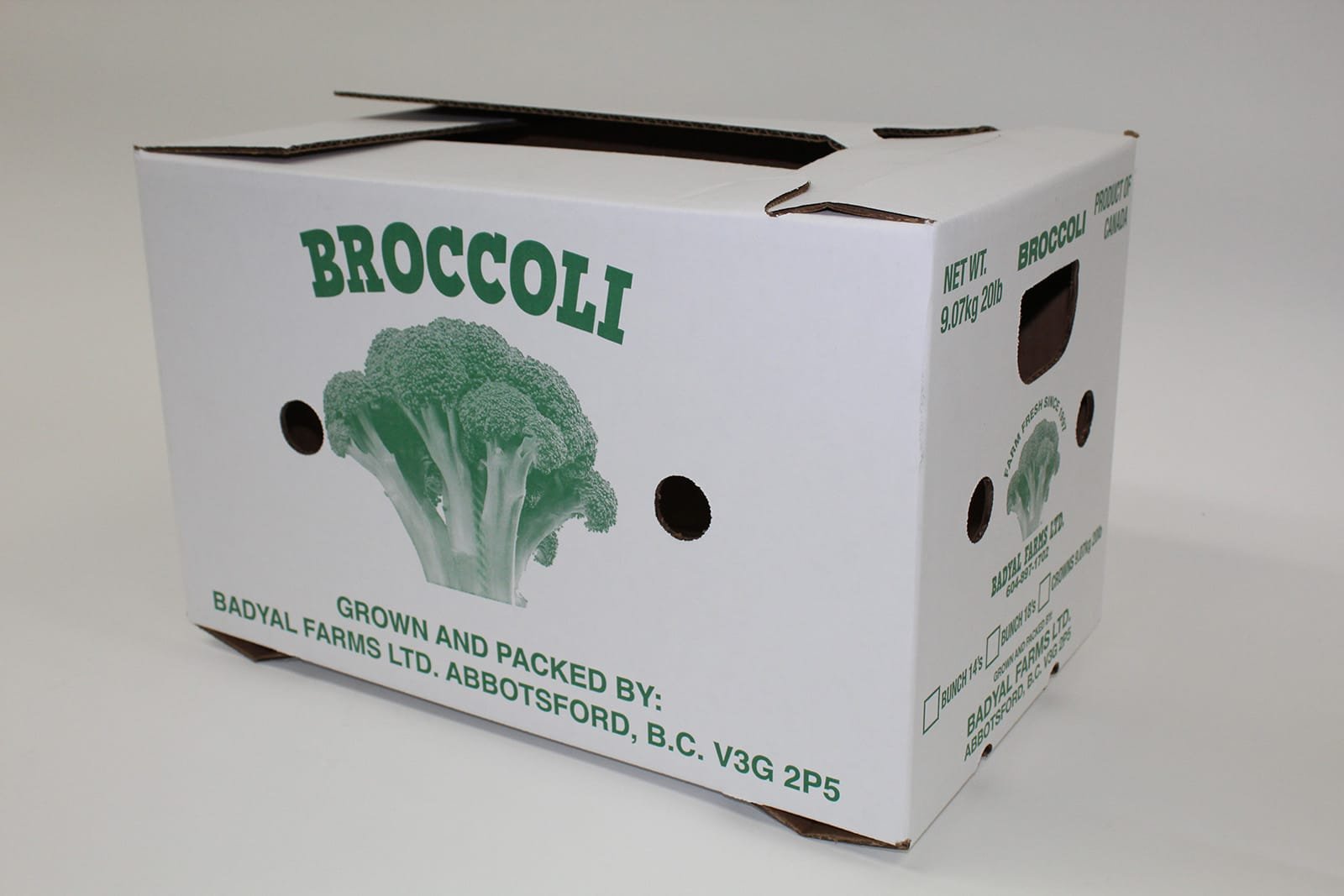 Broccoli - Badyal Farms